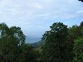 View at Munnar